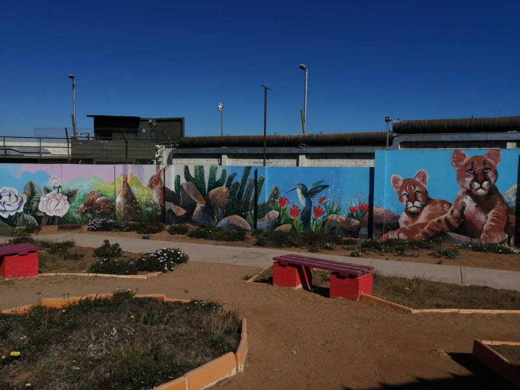WhatsApp-Image-2023-06-27-at-20.12.22-1-1024x768 ARTE QUE LIBERA: Jóvenes del Centro Cerrado La Serena pintan murales sobre temáticas de infancia