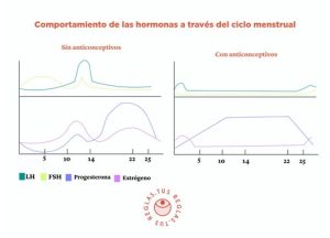Comportamientodelashormonas-300x216 NO ERES TU SON TUS HORMONAS