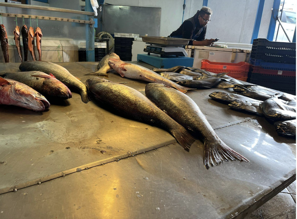 De-autoridad-propia Intoxicaciones por mariscos: el riesgo de Vibrio parahaemolyticus en productos del mar